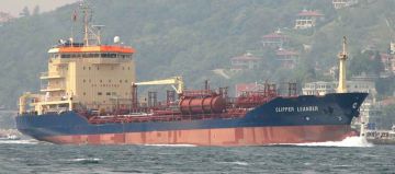CLIPPER LEANDER
